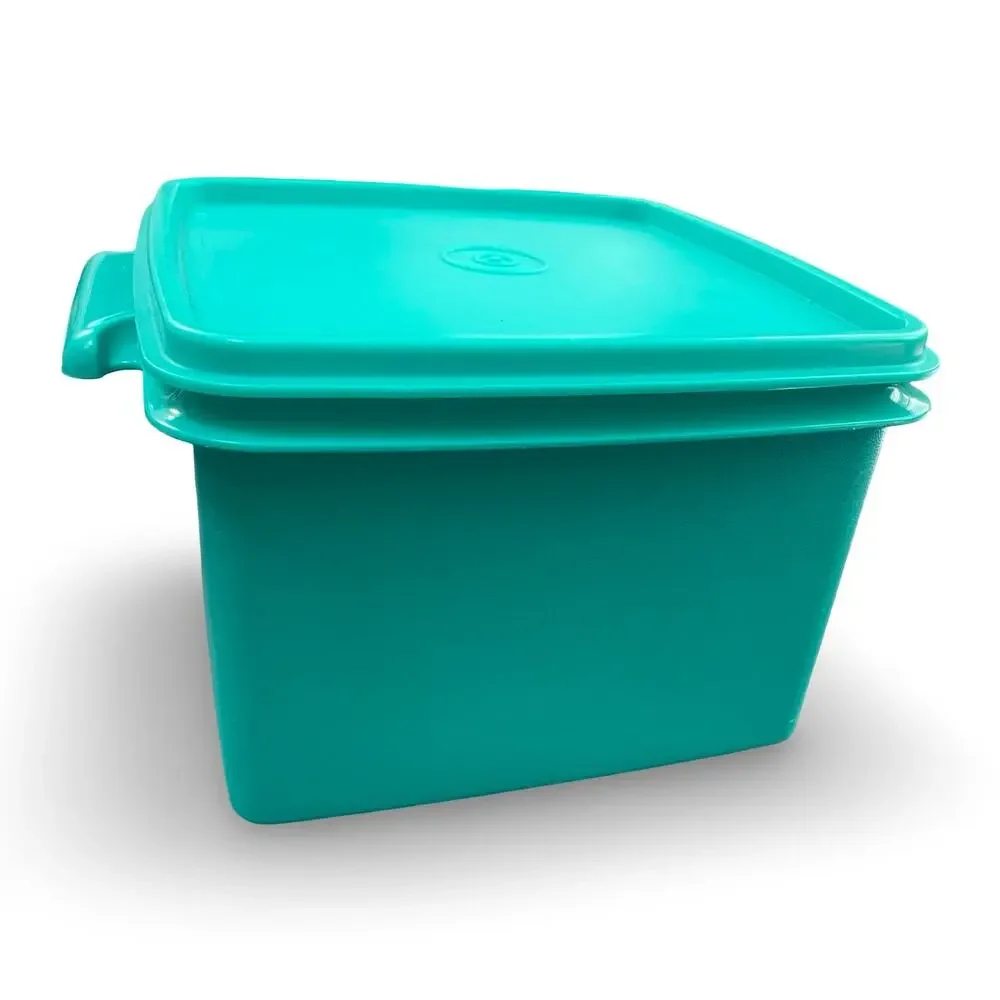 Vintage Tupperware Square Away Sandwich Keeper Container Lid 1674 1363 Teal USA